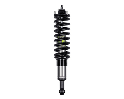 IM2.5 STRUT GUARD KIT (Short)