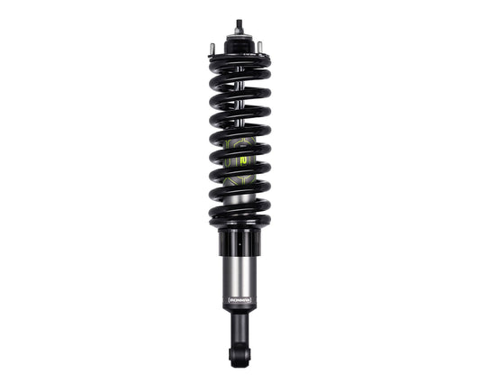 IM2.5 STRUT GUARD KIT (Short)