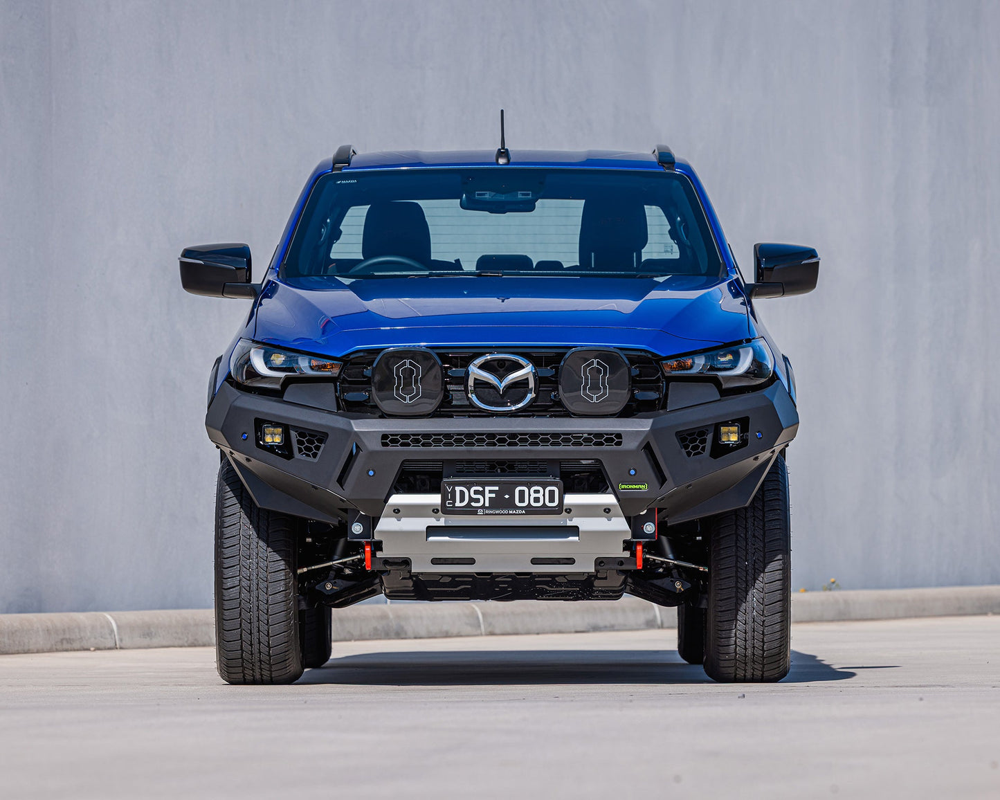 Raid Bull Bar & Lights Kit