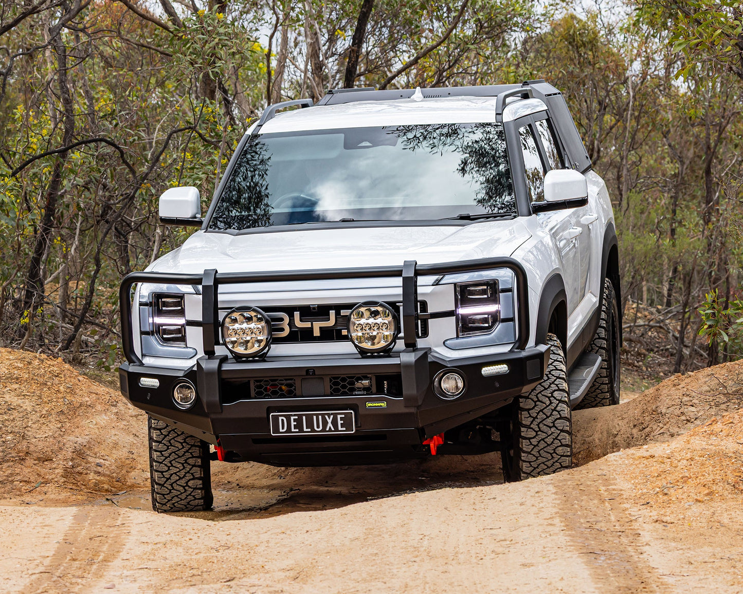Deluxe Bull Bar
